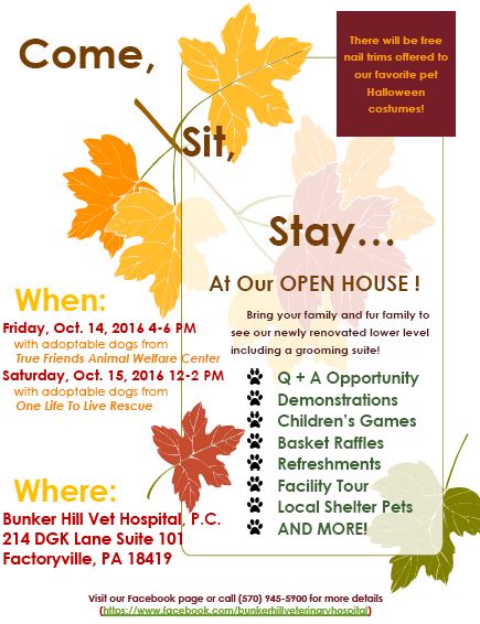 Come, Sit, Stay Open House